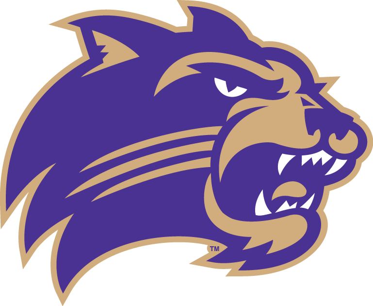 Western Carolina Catamounts 2008-Pres Primary Logo diy iron on heat transfer...